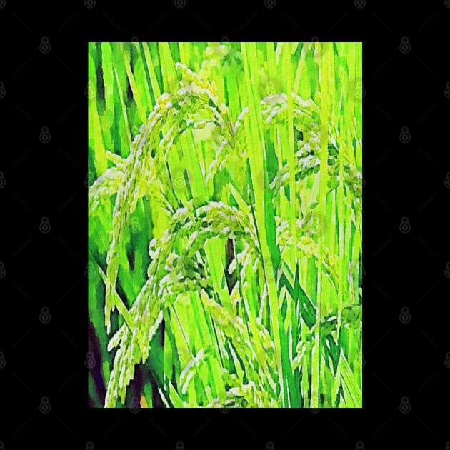 rice plant by Banyu_Urip