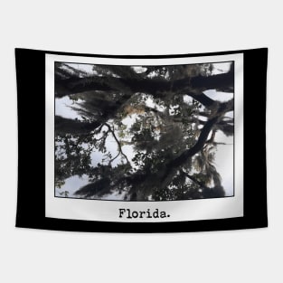 Florida at a Glance Tapestry