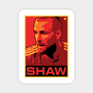 Shaw Magnet