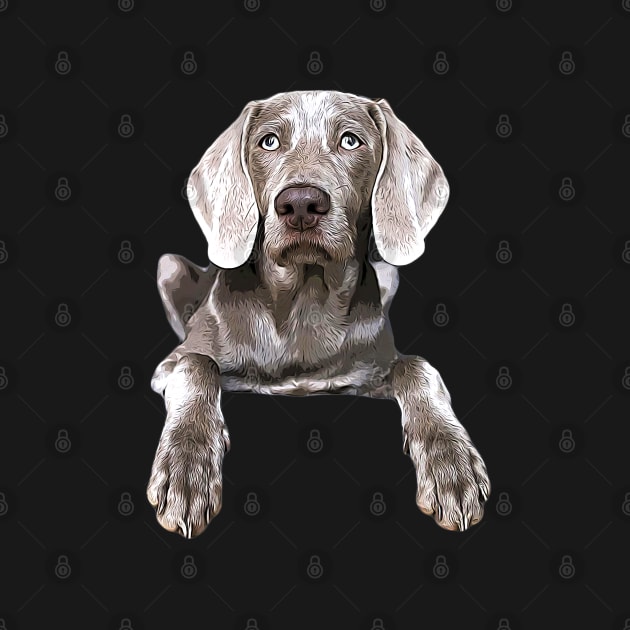 Weimaraner by ElegantCat