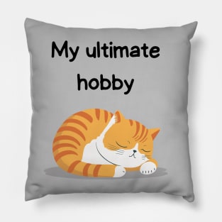 Sleeping Affirmation Cat - My ultimate hobby | Cat Lover Gift | Law of Attraction | Positive Affirmation | Self Love Pillow