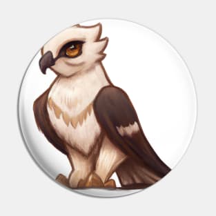 Cute Falcon Drawing Pin