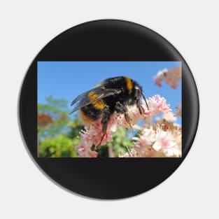 Bee - A Buzzing Thing Pin