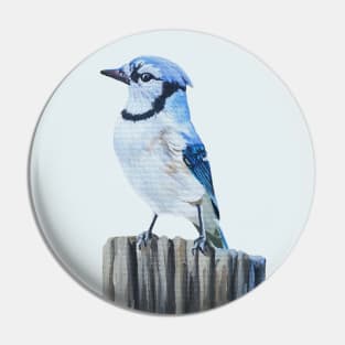 Blue Jay on a Post - fall bird painting (no background) Pin