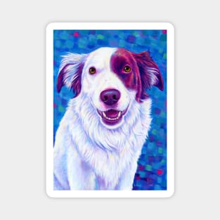 Colorful Red and White Border Collie Dog Magnet