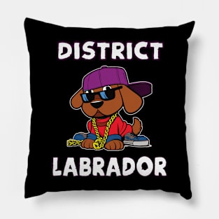 District Labrador cool Hip Hop Dogs Design Pillow