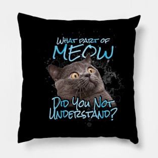 What Don't You Understand? Pillow