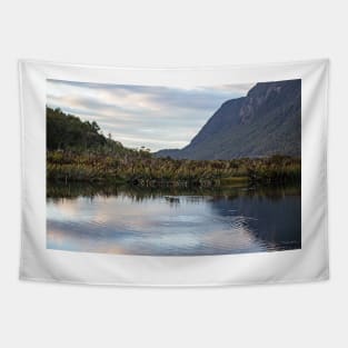 Mirror Lake, South Island, New Zealand Tapestry