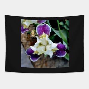 Bearded Iris Tapestry