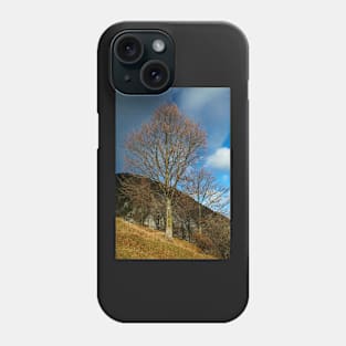 Beech tree on mountain Phone Case