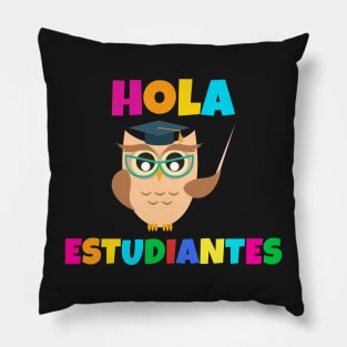 Hola Estudiantes Pillow