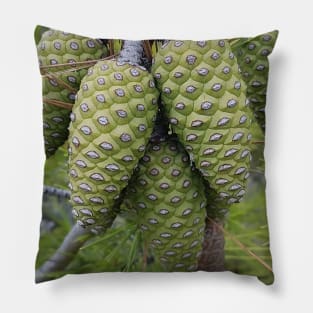 Green Pine Cone Pillow