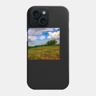 Summertime at Fort Hill Phone Case