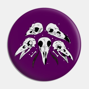 Bird skulls with feathers Pin