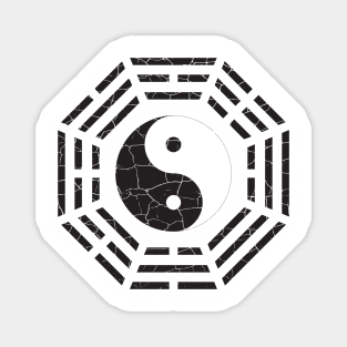 Yin and Yang Magnet