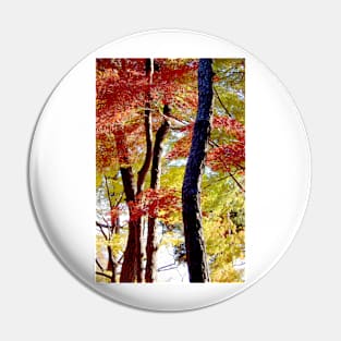 Autumn Colours 10 Pin