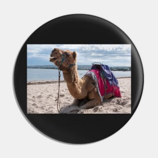 Camel Pin