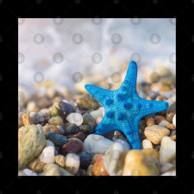 Starfish on Beach by StylishPrinting