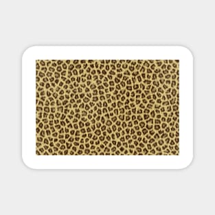 Jaguar skin texture pattern Magnet