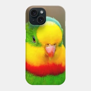 Superb Parrot Phone Case