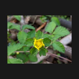 Wild Strawberry Bloom 2 T-Shirt