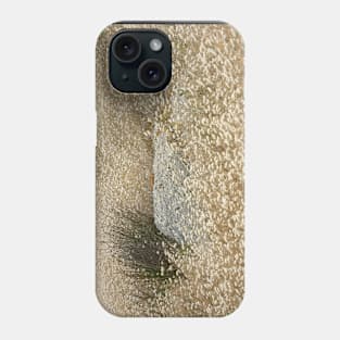 Grass tails among the granite Phone Case