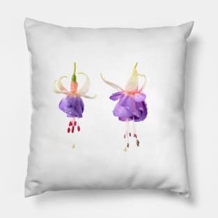 Fuchsia 'Prince George' Pillow