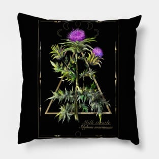 Thistle witches herb. Pillow