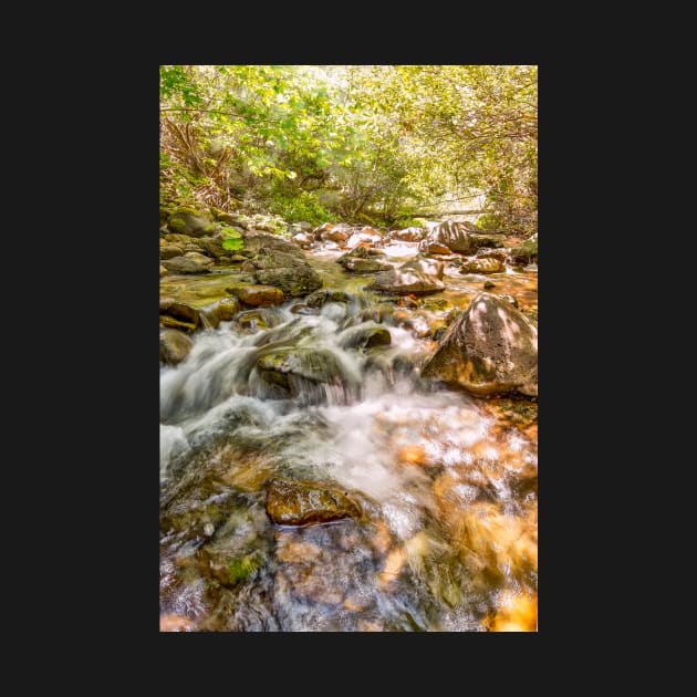 East Fork River by JeffreySchwartz