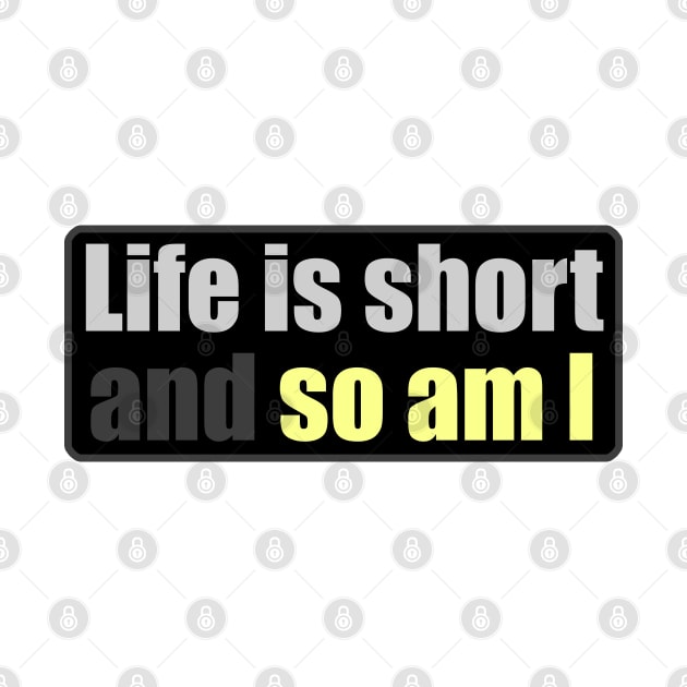 Life is Short And So Am I - Another Day Another Slay - Funny - Bumper - Funny Gift - Car - Fuck - You by TributeDesigns