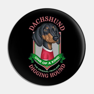 Dachshund One of a Kind Pin