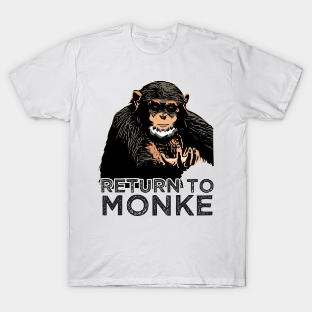 Return to Monke