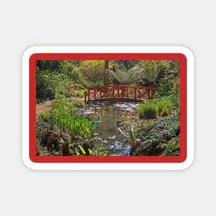 Subtropical Gardens, Abbotsbury Magnet