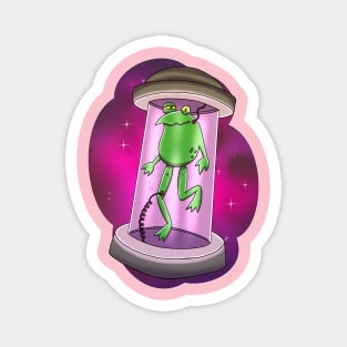 Frog in a Jar Magnet