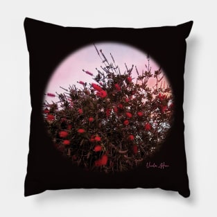 Bottlebrushes Against a Pink Sky Pillow