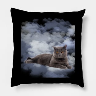 CLOUD  CAT Pillow