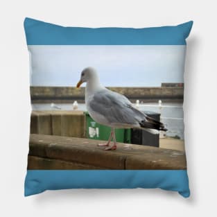 Seagull Walks Along Beach Pillow