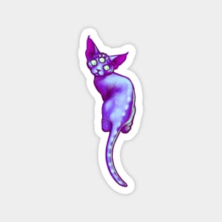 Galaxy Cat Magnet