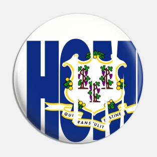 Connecticut Home - State Flag Pin