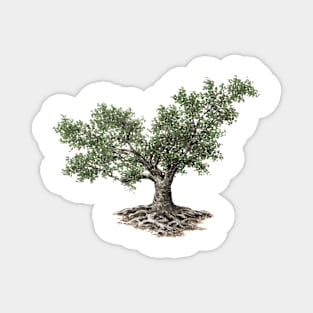 May birthday fig tree Magnet