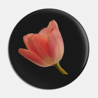 Pink Tulip - Pink Spring Floral on Black Pin