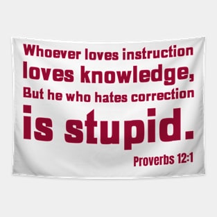 He who hates correction is Stupid. Proverbs 12:11 Christian Design. Tapestry