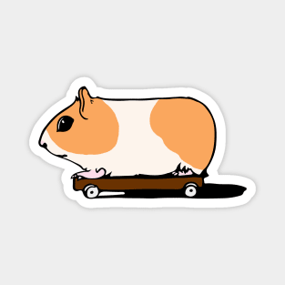 Guinea Pig Skateboard Magnet