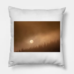 Wild Moon Pillow