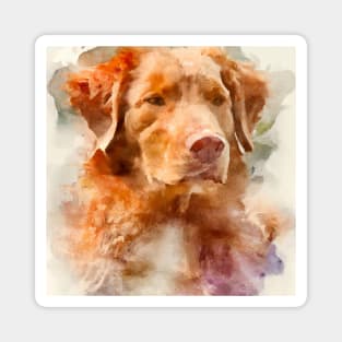 Nova Scotia Duck Tolling Retriever Watercolor - Dog Lover Gifts Magnet