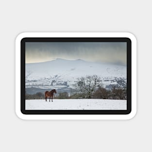 Pen y Fan and Corn Du from Mynydd Illtyd, Brecon Beacons National Park Magnet