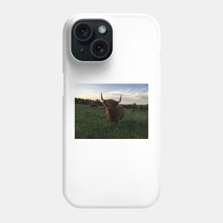 Scottish Highland Cattle Cow 2427 Phone Case