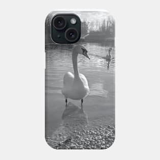 Swan photo black and white Phone Case