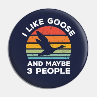 I Like Goose and Maybe 3 People, Retro Vintage Sunset with Style Old Grainy Grunge Texture Pin