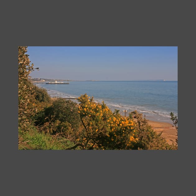 Bournemouth Pier from Alum Chine, February 2021 by RedHillDigital